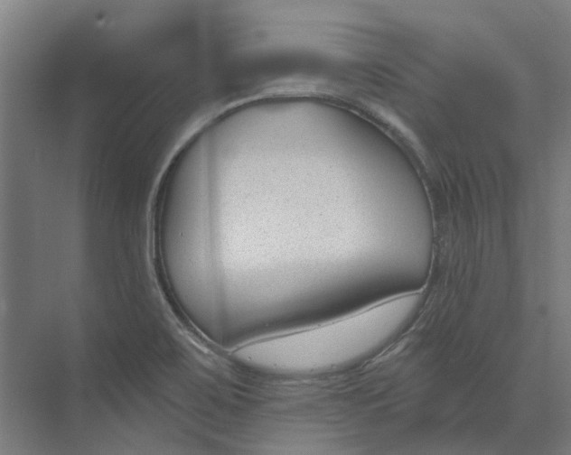 X0000073951467200609111637