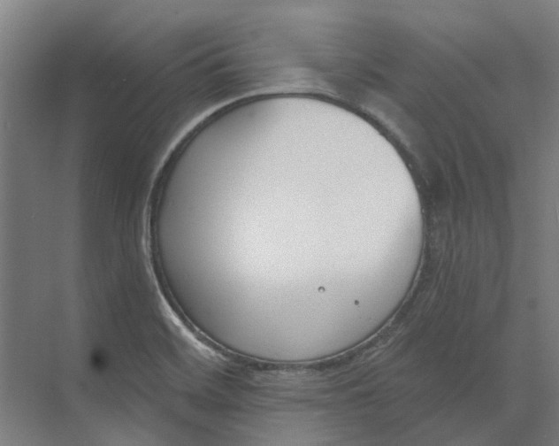 X0000073951468200609111637