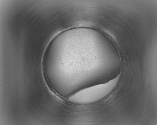 X0000073951471200609111637