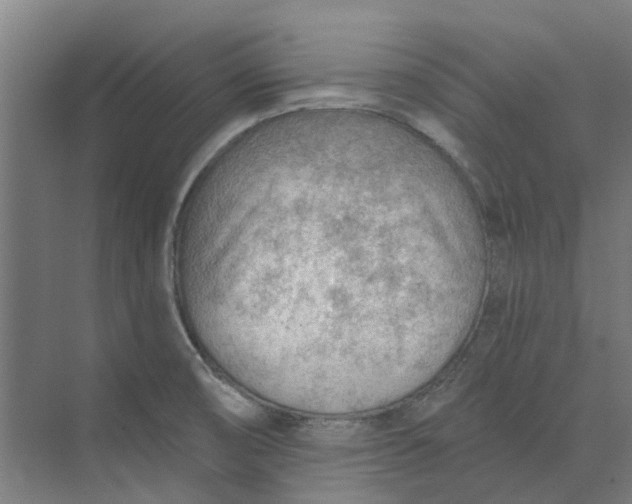 X0000073951474200609111637