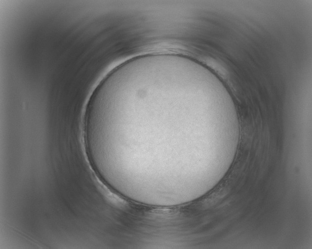 X0000073951478200609111637