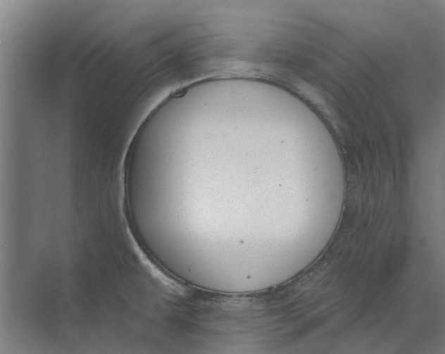 X0000073951479200609111637