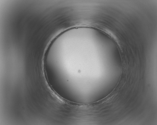 X0000073951480200609111637