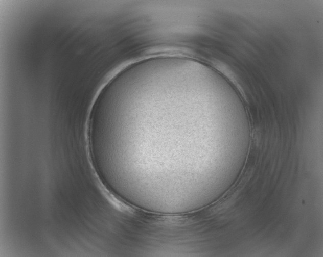 X0000073951482200609111637