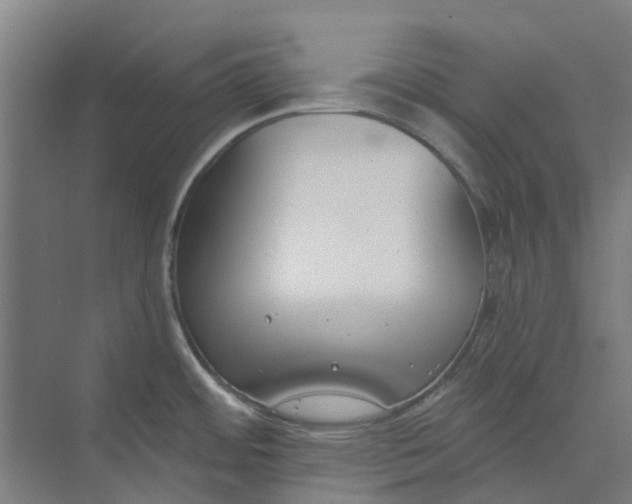 X0000073951484200609111637