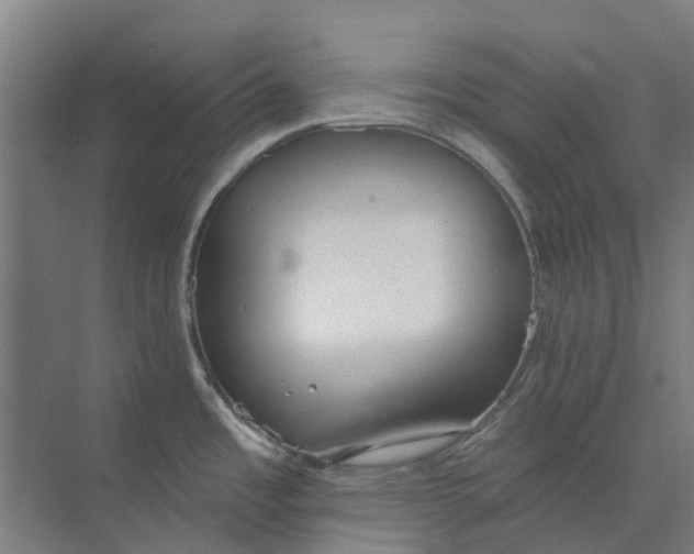 X0000073951485200609111637