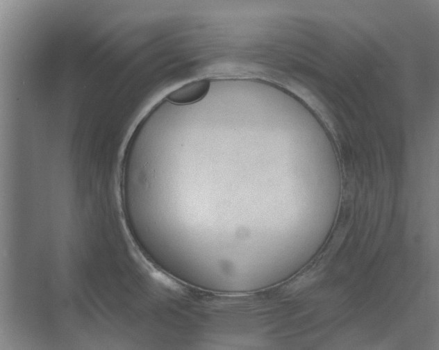 X0000073951486200609111637