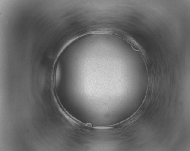 X0000073951487200609111637