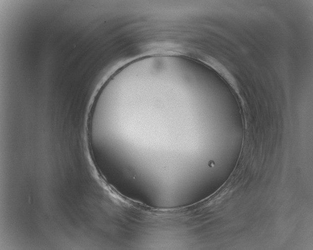 X0000073951488200609111637