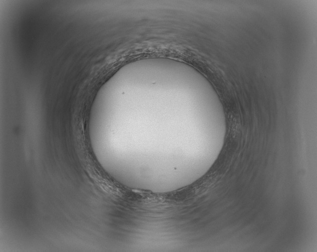 X0000073951489200609111636