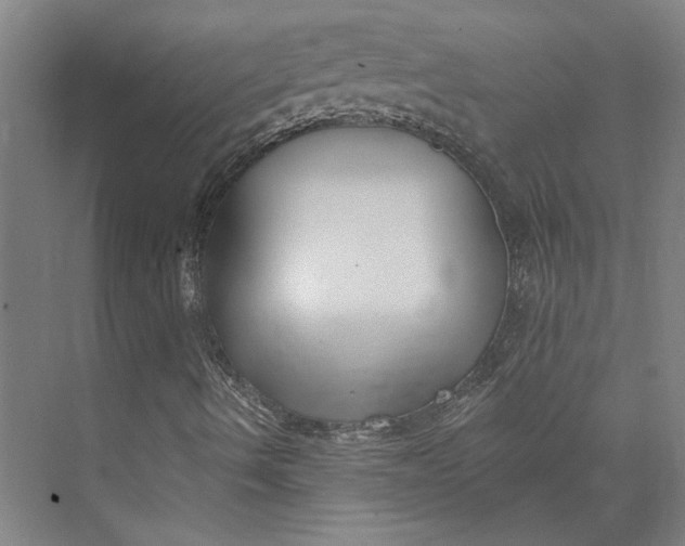 X0000073951490200609111636