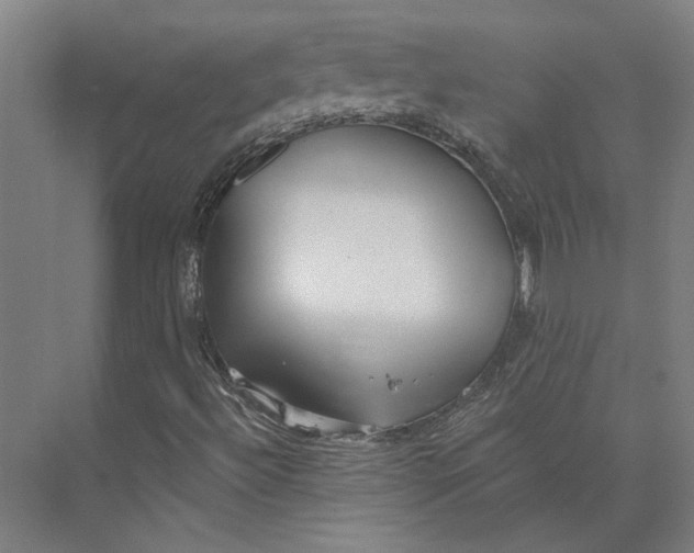 X0000073951492200609111636