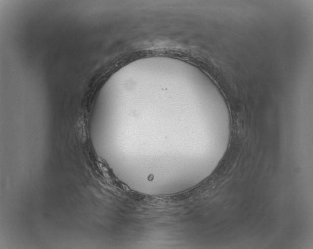 X0000073951493200609111636