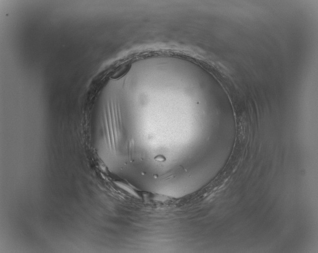 X0000073951494200609111636