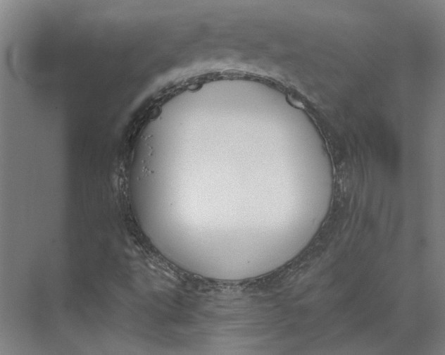 X0000073951495200609111636