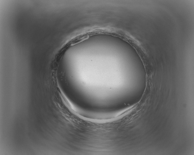 X0000073951496200609111636