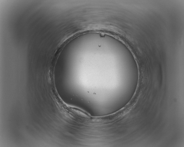 X0000073951497200609111636