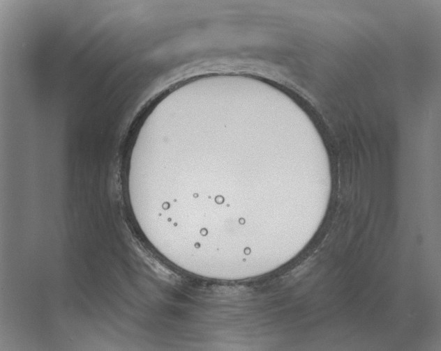 X0000073951498200609111636