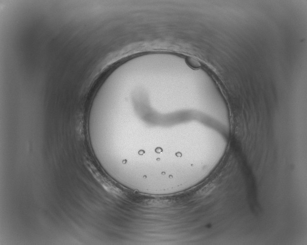 X0000073951499200609111636