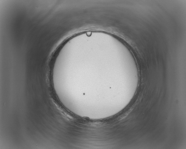 X0000073951502200609111636