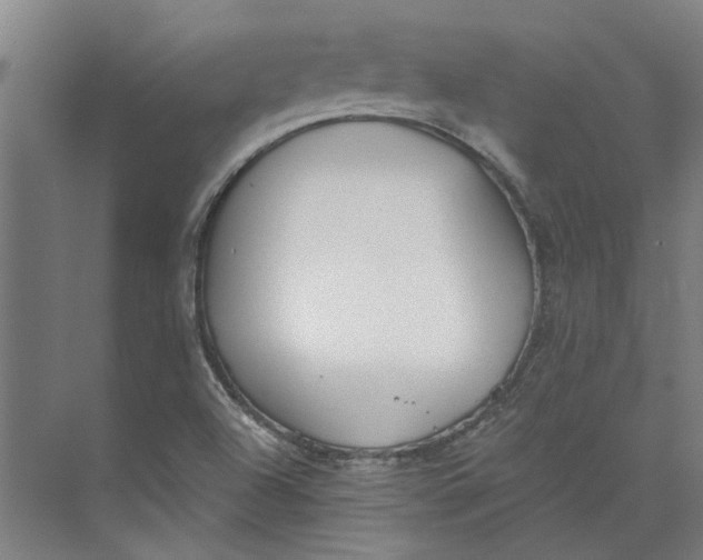 X0000073951504200609111636