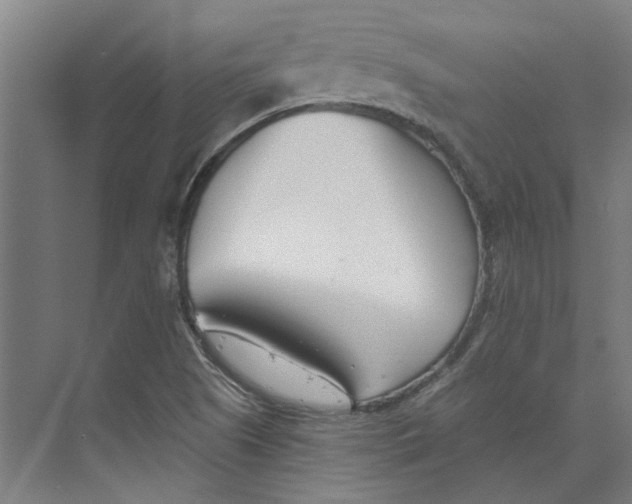 X0000073951505200609111636