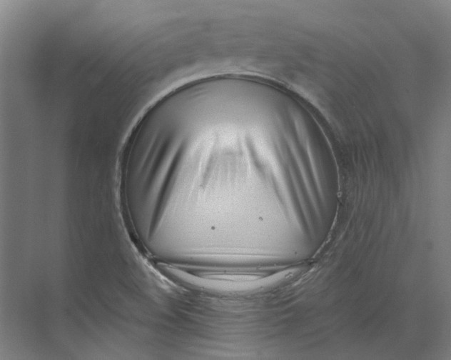 X0000073951508200609111637