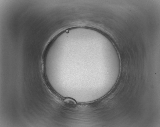 X0000073951509200609111637