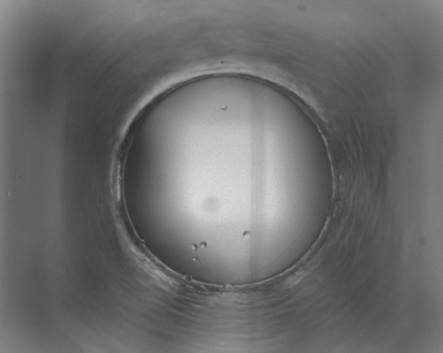 X0000073951510200609111637