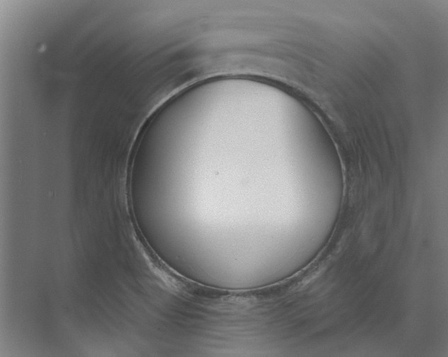 X0000073951513200609111637