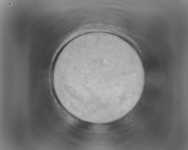 X0000073951514200609111637