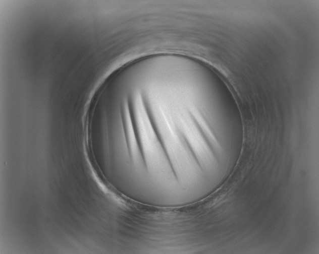 X0000073951515200609111637