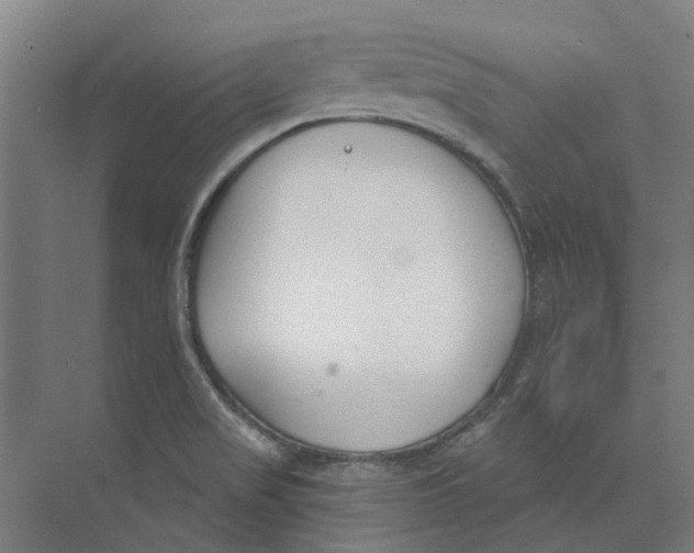 X0000073951517200609111637