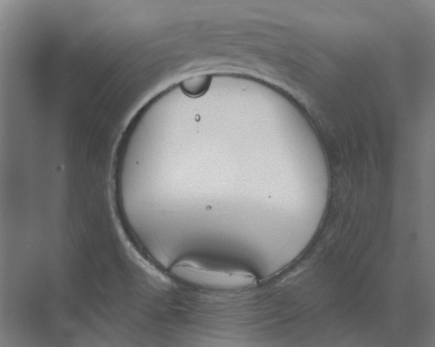 X0000073951518200609111637