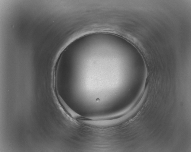 X0000073951520200609111637