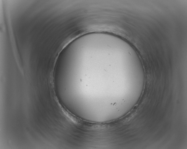 X0000073951521200609111637