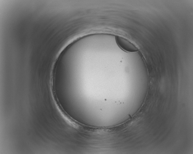 X0000073951523200609111637