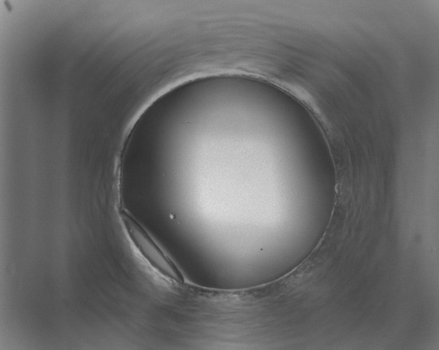 X0000073951524200609111637