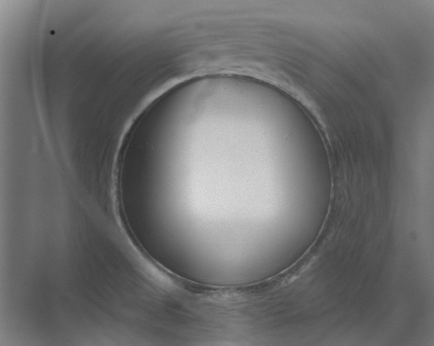 X0000073951525200609111637