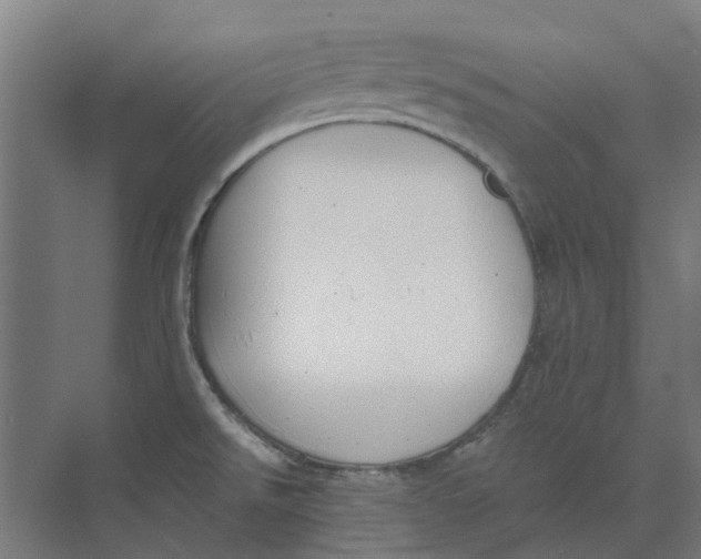 X0000073951526200609111637