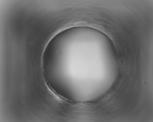 X0000073951527200609111637