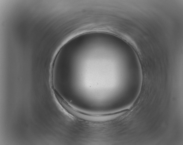 X0000073951528200609111637