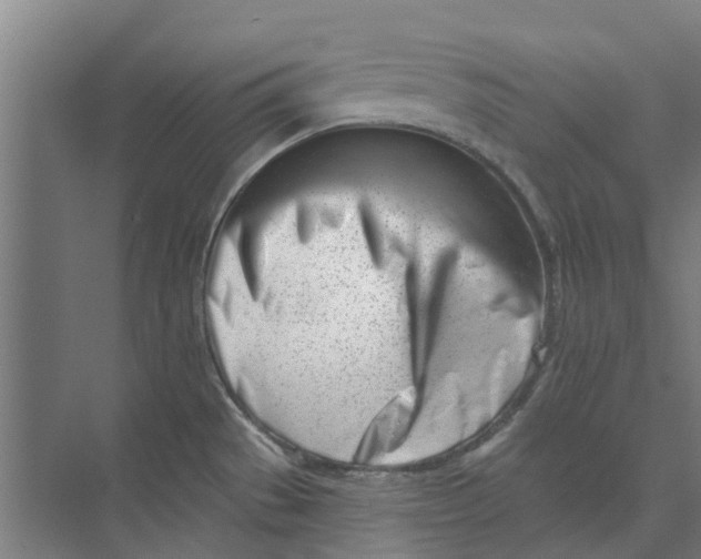 X0000073951529200609111637