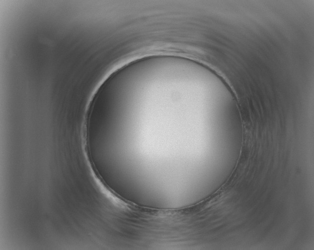 X0000073951531200609111637