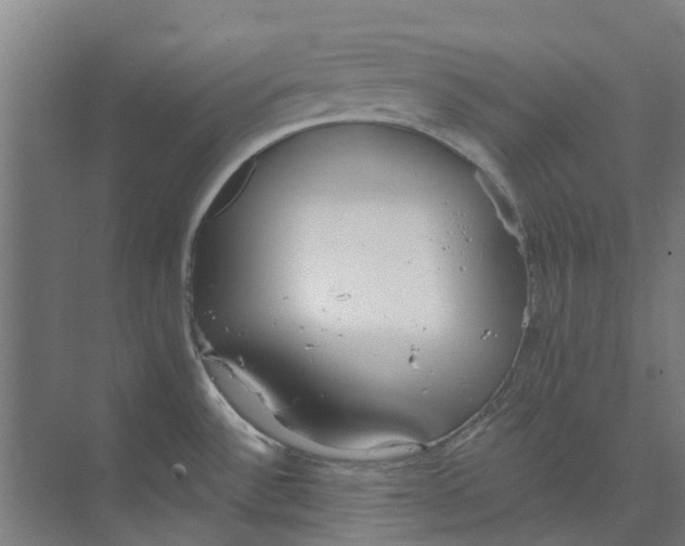 X0000073951532200609111637