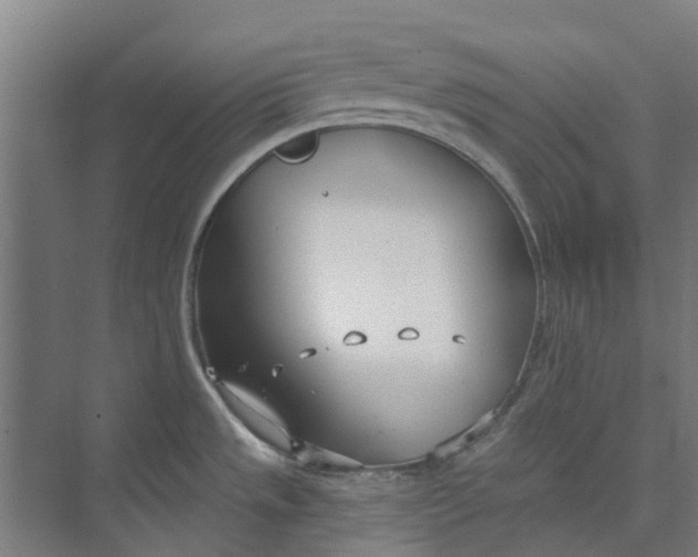 X0000073951533200609111637