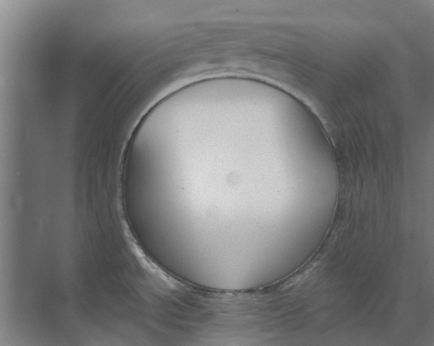 X0000073951534200609111637