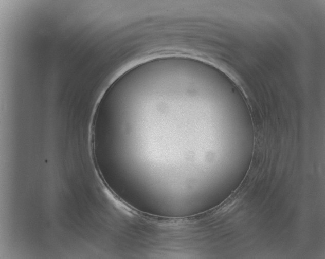 X0000073951535200609111637