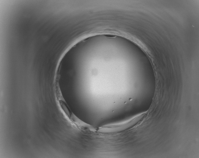 X0000073951536200609111637