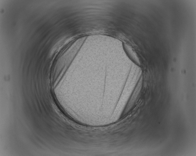 X0000073950002200609181413